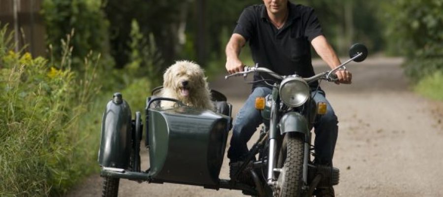 Tout savoir sur le side-car : plus qu’une moto, un art de vivre